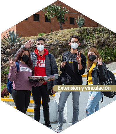 Extensión y vomnculación