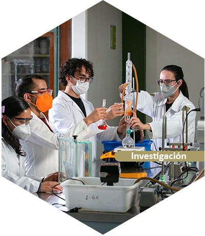 Investigación