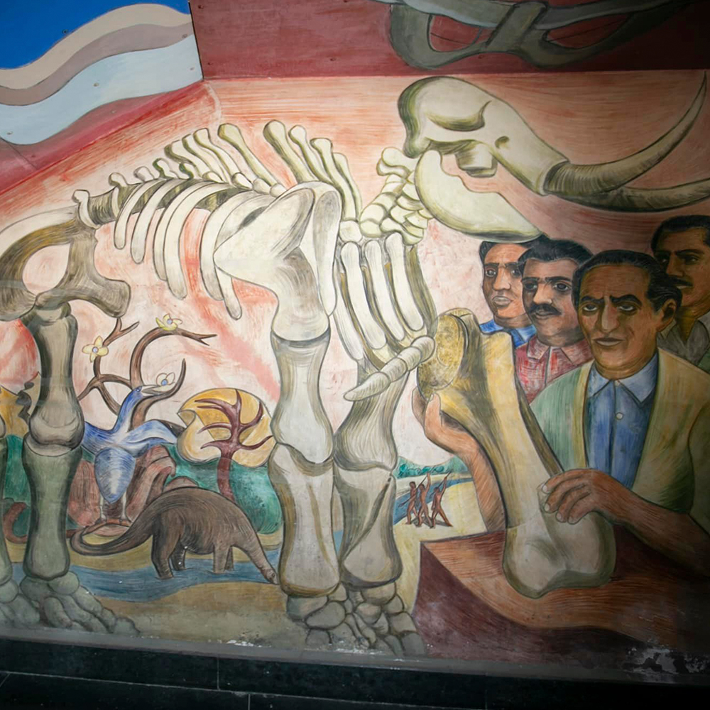 5.-museo-del-mamut.jpeg