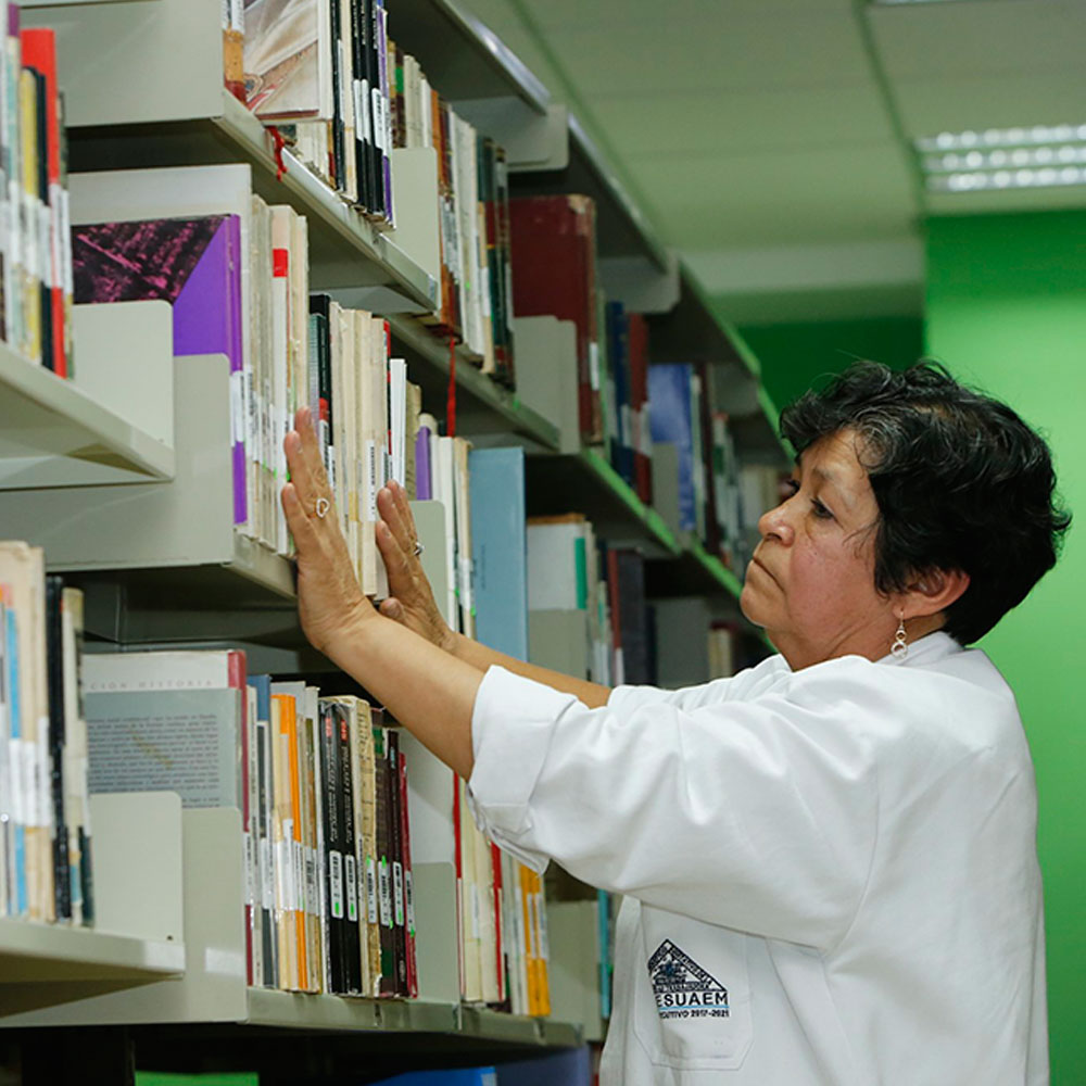 3-Bibliotecarios.jpg
