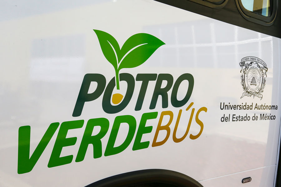 Galería Potro Verde Bús