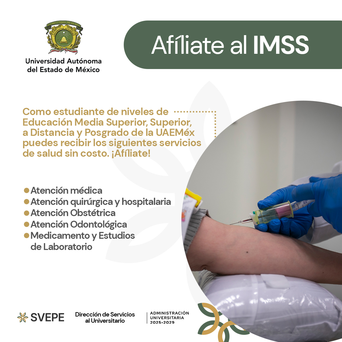afiliate-imss