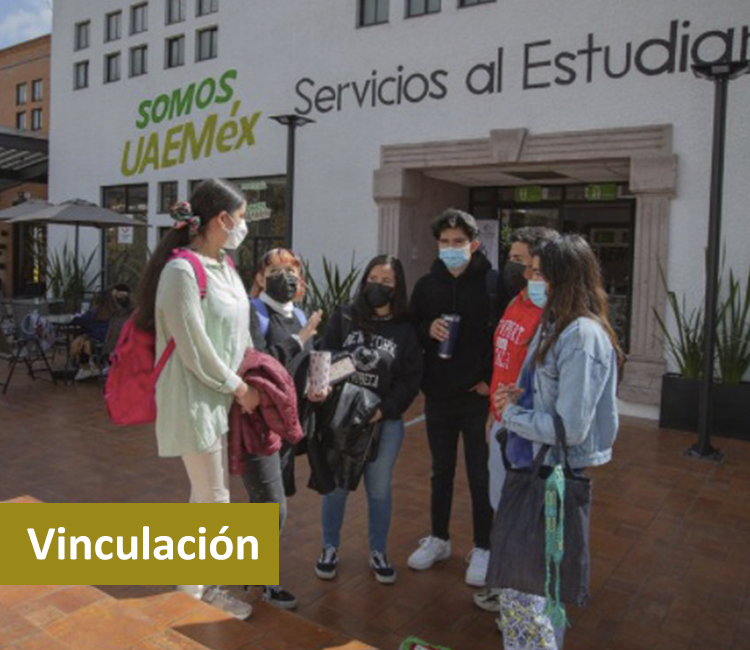vinculación