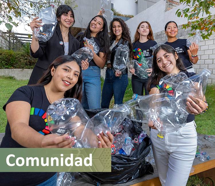 vinculación