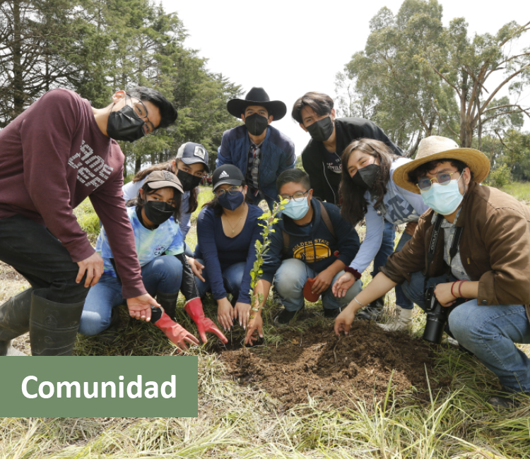 vinculación