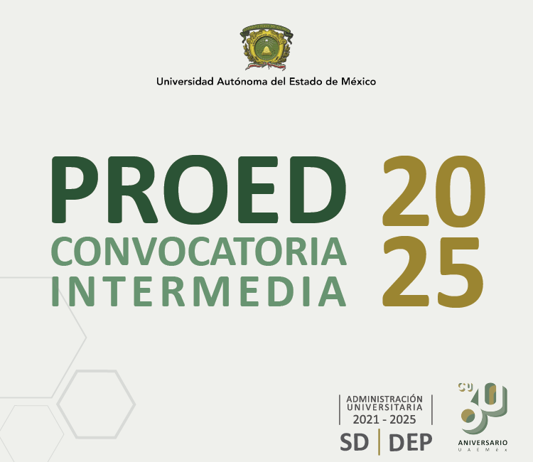 Proed 2025 Convocatoria Intermedia 2025