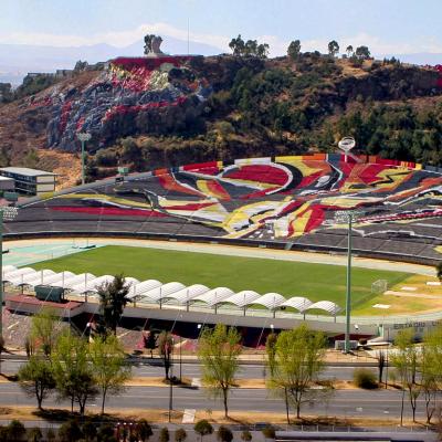 Campo de Fútbol Asociación de pasto natural