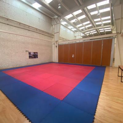 Zona de Karate y Taekwondo