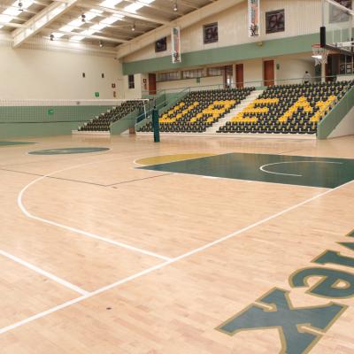Gimnasio “Prof. Guillermo Ortega Vargas”