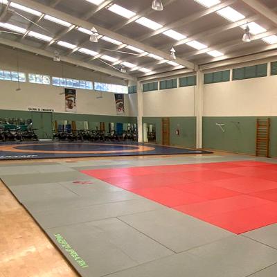 Gimnasio “Soraya Jiménez Mendivil”