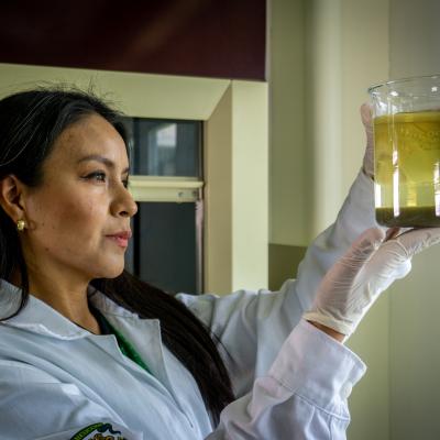 Investigadora Ivonne Linares
