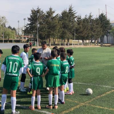 Potritos en competencia 