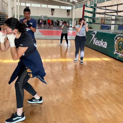 Atletas en entrenamientos de Box