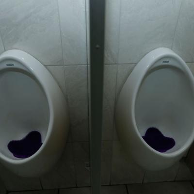 Mingitorios secos